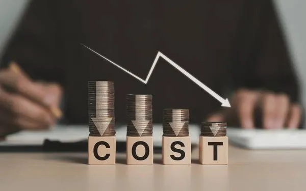 Cost Savings from Concentration vs. The Real Cost of Dependency